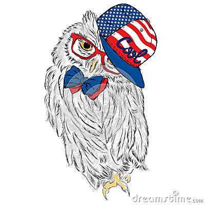 Owl wearing a cap and a tie. Print. Hipster. Painted Bird. America. USA. Vector Illustration