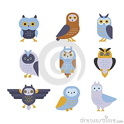 Owl wild bird cartoon vector. Vector Illustration