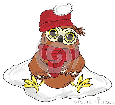 Owl and winter time Stock Photo