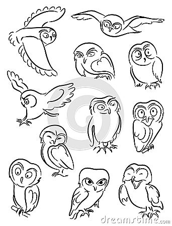 Owls Vector Illustration