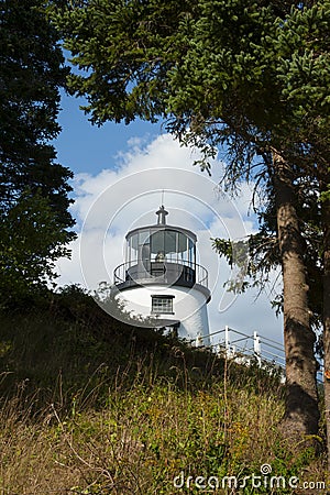 Hilltop Lighthouse by Evergreen Trees in Maine Stock Photo