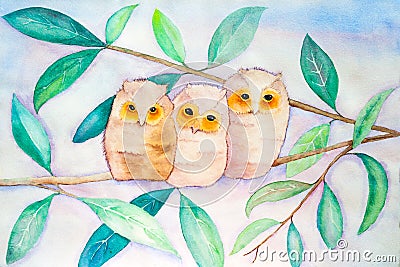 Owls Perched on Branch - Original Watercolor Painting Stock Photo