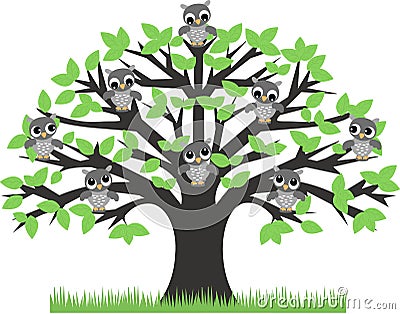 Owls in a tree Vector Illustration