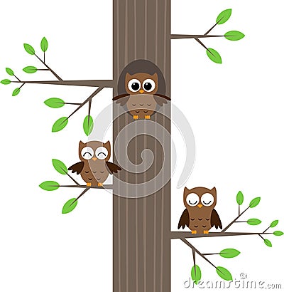 Owls on tree Vector Illustration