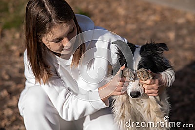 The owner closes the eyes of the border collie dog with his paws. Stock Photo