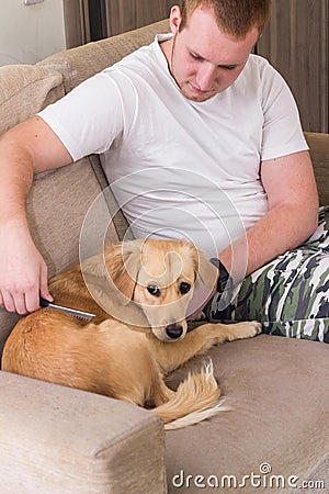 Owner combing his dog Stock Photo