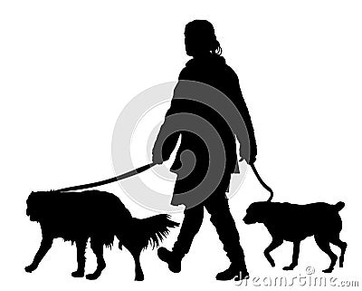 Owner girl walking with dogs silhouette. Cartoon Illustration