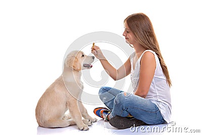 Owner training puppy dog Stock Photo