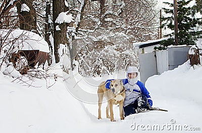 The owner walks a alabai on a leash on a winter day Stock Photo
