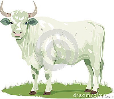 OX COW VECTOR STAND ON GRASS Vector Illustration