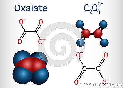 Oxalate anion, ethanedioate molecule. Structural chemical formula and molecule model Vector Illustration
