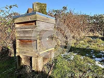 Oxalic Acid treatment in a beehive. Seasonal Beekeeping treatment against the varroa mite. Stock Photo