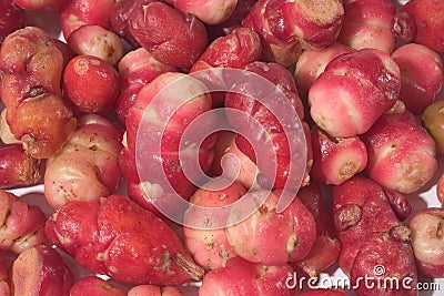Oxalis tuberosa, okka of Peru Stock Photo