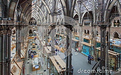 Oxford University Museum of Natural History Editorial Stock Photo