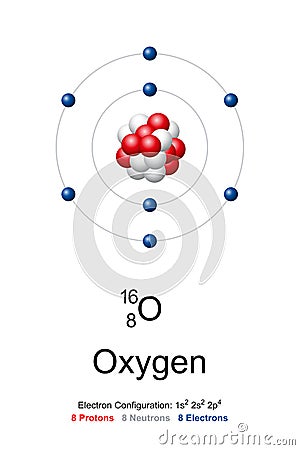 Oxygen, atom model of oxygen-16 with 8 protons, 8 neutrons and 8 electrons Vector Illustration