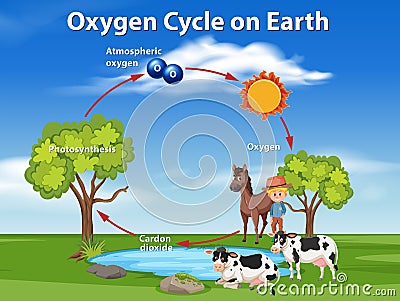 Oxygen cycle on earth Vector Illustration