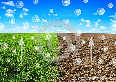 Oxygen release from the wheat field and Carbon dioxide escaping from the soil into the atmosphere. Stock Photo