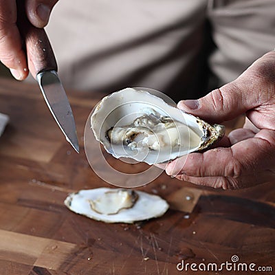 Oyster Stock Photo