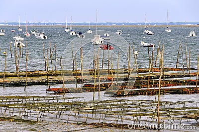 Oyster bed of LÃ¨ge-Cap-Ferret Stock Photo