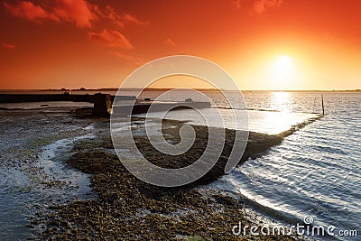 Oyster farm in Plouharnel bay Stock Photo