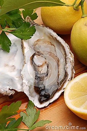 Oyster, lemon and parsley Stock Photo