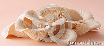 Oyster mushroom pleurotus ostreatus on a soft and elegant pastel colored background Stock Photo