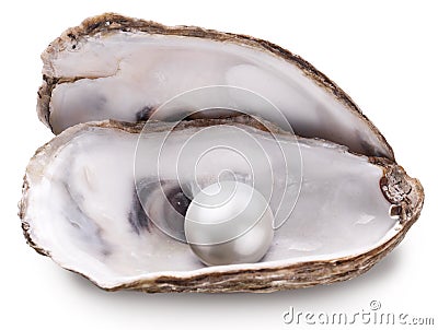 Oyster with pearl isolated. Stock Photo