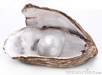 Oyster with pearl isolated. Stock Photo