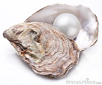 Oyster with pearl isolated. Stock Photo