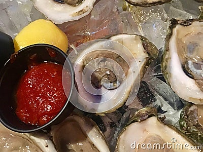 Oysters on the Half Shell Stock Photo