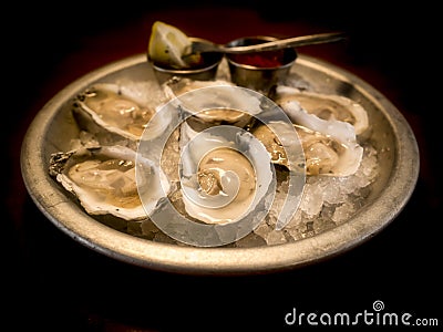 Oysters on the half-shell Stock Photo