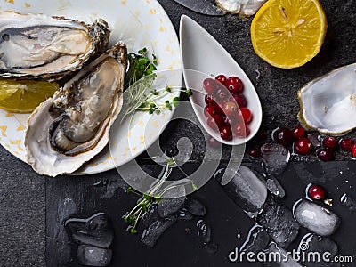 Oysters heart shape in plate with lemon, cranberries, microgreens, knife, shells on marble Stock Photo