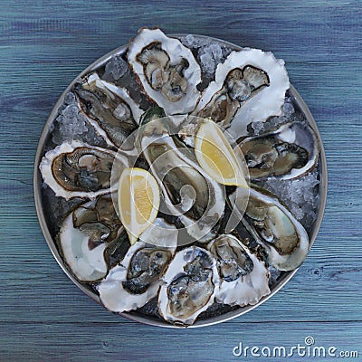 Oysters with ice and lemons on tray Stock Photo