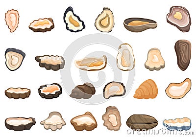 Oysters icons set cartoon vector. Seafood shell Vector Illustration