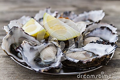Oysters with lemon Stock Photo