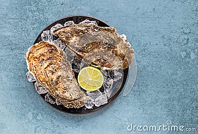 Oysters plate with lemon and ice. Served fresh and close. Healthy seafood Stock Photo