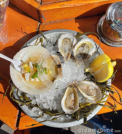 Oysters and scallop ceviche at a farmer's market seafood bar Stock Photo