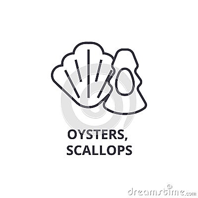 Oysters, scallops line icon, outline sign, linear symbol, vector, flat illustration Vector Illustration