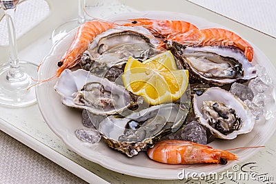 Oysters shell, jumbo shrimp with lemon on ice Stock Photo