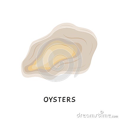 Oysters. Vector fresh oyster shell isolated on white background. Cooked delicacies, Mediterranean delicacy seafood Vector Illustration