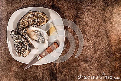 Oysters on a white plate accompanied by knife and lemon Stock Photo