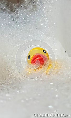 P?na duck water toys um Stock Photo