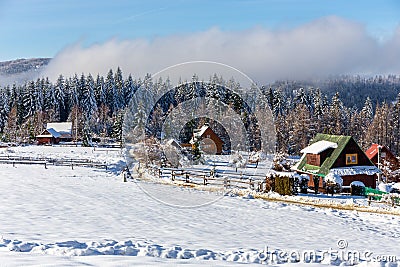 Plone farm village in Zabnica, Wegierska Gorka, Poland, traditional wooden mountain cottages Stock Photo