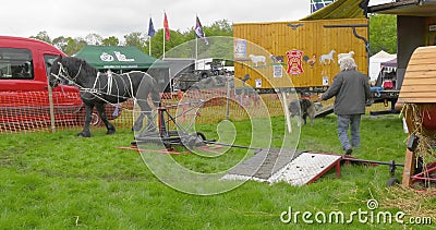 Paard die een dorser werken bij Shanes-van de de Stoomverzameling van de Kasteelmeidag het Landgoed Antrim Noord-Ierland 6de Mei stock video Paard die een dorser werken bij Shanes-van de de Stoomverzameling van de Kasteelmeidag het Landgoed Antrim Noord-Ierland 6de Mei stock video