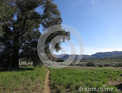 Pacific Crest Trail, Southern California Stock Photo