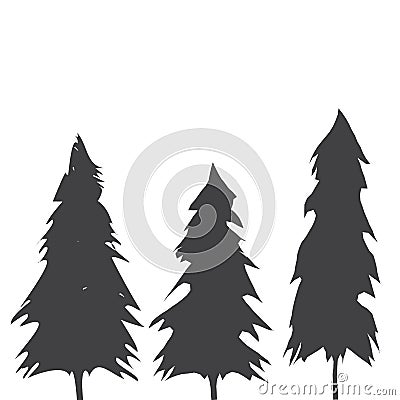 Pacific northwest old growth evergreen tree Stock Photo