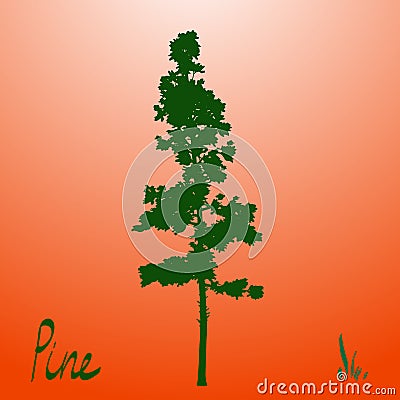 Pacific northwest pine old growth evergreen tree silhouette Vector Illustration