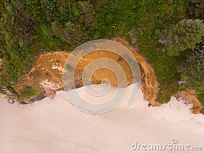 Pacific Ocean Beach West Coast USA Beach Cliff Green Sand Top View Texture Stock Photo