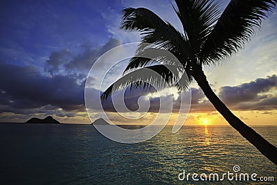 Pacific sunrise in hawaii Stock Photo