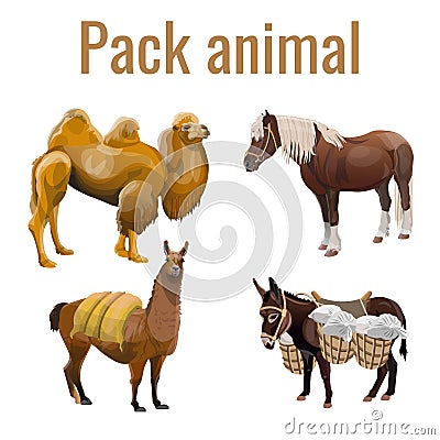 Pack animals set Cartoon Illustration